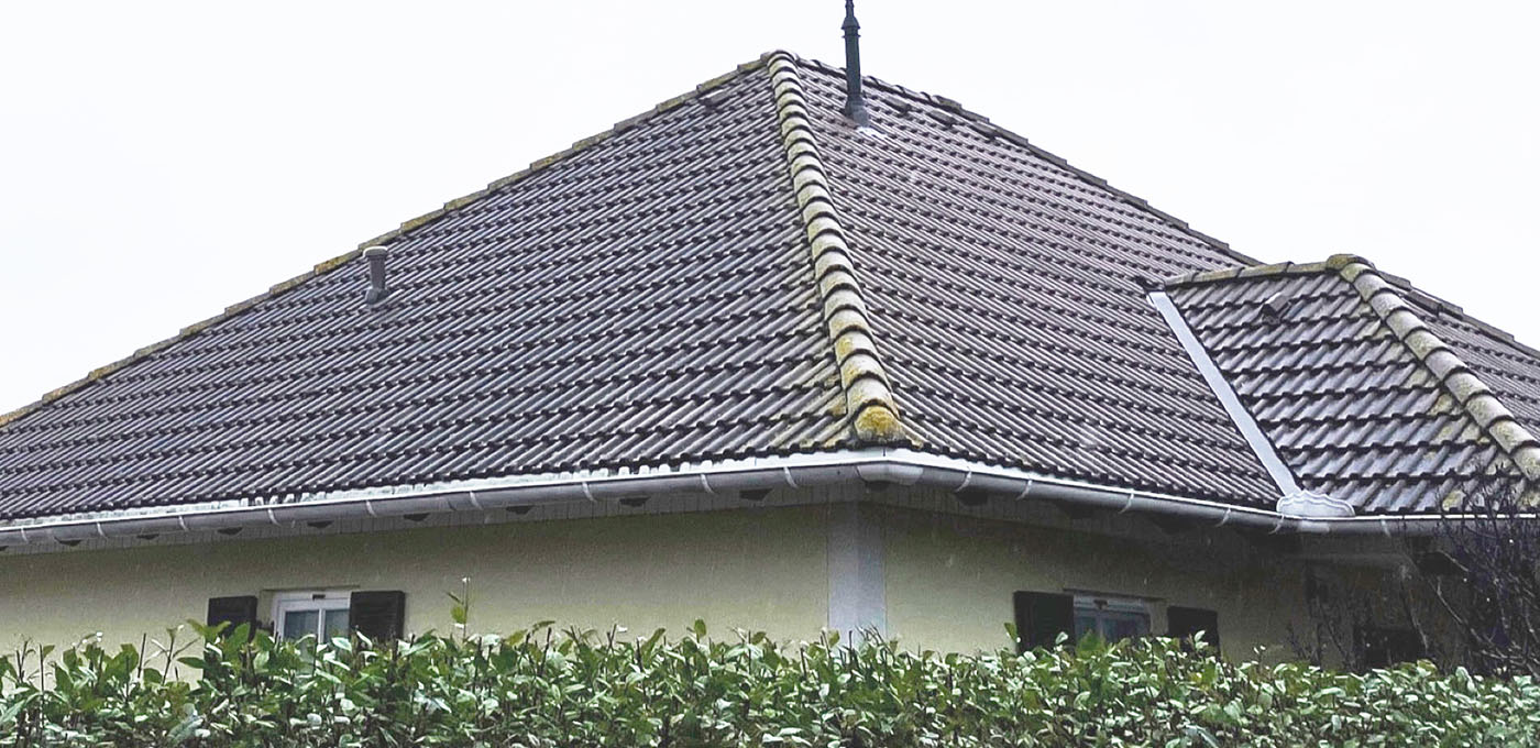 dach-alt